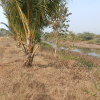 Rainger Realty, plots in diveagar, plot for sale in diveagar, plots in diveagar for sake, na plots in diveagar, sea view plots in diveagar, buy land in diveagar, land in diveagar, diveagar land for sale, farm house for sale in diveagar, farm house in diveagar, Land for sale in diveagar, farm land for sale in diveagar, Farm Land for Sale, plots for sale, residential plots for sale, scenic plots for sale, luxury plots for sale, farm land for sale, buy residential plot, plots in karjat, plots for sale in karjat, Luxury Farm House, Luxury Farm Houses for Sale, villa plots for sale, villa plots for sale in karjat, Luxury Real Estate, Premium Real Estates websites, Premium Real Estate Company, Premium Real Estate Sellers in India, Premium Real Estate Sellers in Mumbai, RaingerRealty.com