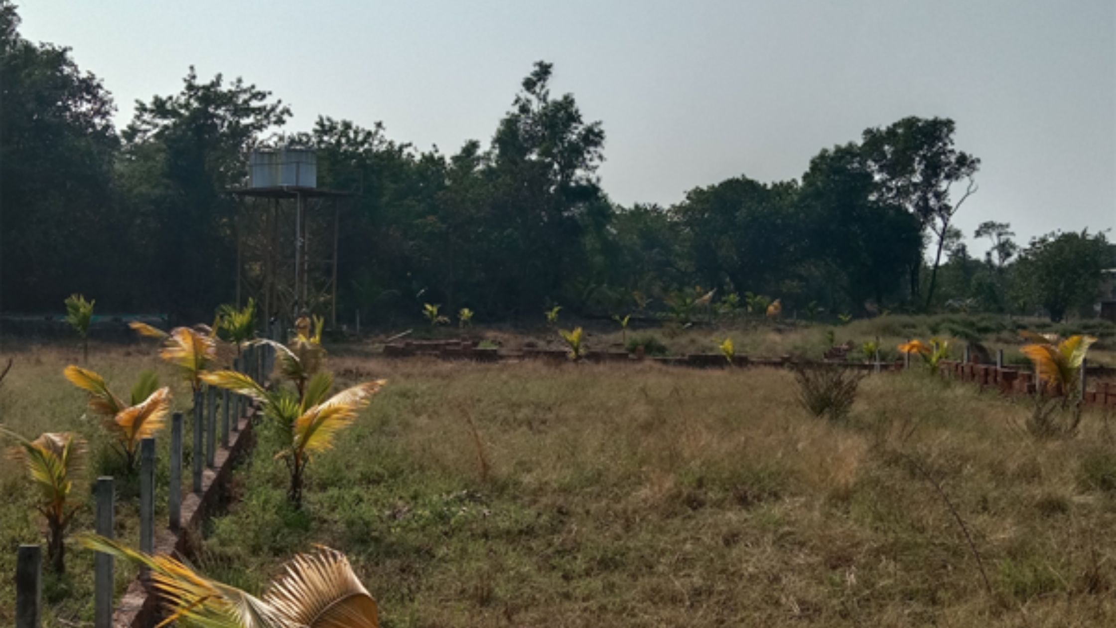 Rainger Realty, Ocean Breeze Farm Diveagar, Ocean Breeze Farm, plots in diveagar, plot for sale in diveagar, plots in diveagar for sake, na plots in diveagar, sea view plots in diveagar, buy land in diveagar, land in diveagar, diveagar land for sale, Farm Plots in Diveagar, farm house for sale in diveagar, farm house in diveagar, Agricultural Land in Diveagar, Land for sale in diveagar, farm land for sale in diveagar, Sea Facing Farm Plots Maharashtra, Diveagar Farmhouse Plots, Farm Land for Sale, plots for sale, residential plots for sale, scenic plots for sale, luxury plots for sale, farm land for sale, buy residential plot, plots in karjat, plots for sale in karjat, Luxury Farm House, Luxury Farm Houses for Sale, villa plots for sale, villa plots for sale in karjat, Luxury Real Estate, Premium Real Estates websites, Premium Real Estate Company, Premium Real Estate Sellers in India, Premium Real Estate Sellers in Mumbai, RaingerRealty.com