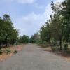 Rainger Realty, victoria hills karjat, na plot in karjat, na plot in karjat neral, na plots in karjat, na plots in karjat for sale, na plot in karjat neral, na land in karjat, residential plots in karjat, plots for sale in karjat neral, na plots for sale in neral, na land in karjat neral, plots for sale in karjat murbad road, plot for sale in karjat waters, land for sale in karjat, property for sale in karjat, villa plots in karjat, villa plots for sale in karjat, residential plots in neral, na land in neral, Premium Real Estates websites, Luxury Real Estate, Premium Real Estate Company, Premium Real Estate Sellers in India, Premium Real Estate Sellers in Mumbai, RaingerRealty.com