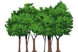 Rainger Realty – Luxury Real Estate, Kerala Village Shahapur, The Kerala Village Shahapur, Luxury Villas in Shahapur, Riverfront Villas in Shahapur Thane, Riverfront Villas in Shahapur Maharashtra, resort apartments near thane for sale, resort apartments near thane, Studio apartment Shahapur, Studio apartment Shahapur Thane, Studio apartment Shahapur Maharashtra, 1bhk apartment Shahapur, 1bhk apartment Shahapur Thane, 1bhk apartment Shahapur Maharashtra, 1 BHK furnished apartment Shahapur, 1 BHK furnished apartment Shahapur thane, 1 BHK furnished apartment Shahapur maharashtra, Rent-back property near Mumbai, Rent-back property near Mumbai for sale, Zero maintenance home, Premium Weekend Homes near Thane, Villas for NRI investment in mumbai, second home projects in Shahapur, Second home near mumbai, Second home near panvel, Premium Real Estates websites, Premium Real Estate Company, Premium Real Estate Sellers in India, Premium Real Estate Sellers in Mumbai – RaingerRealty.com