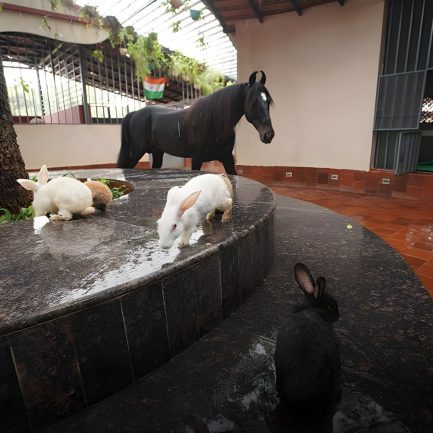 Rainger Realty – Luxury Real Estate, Kerala Village Shahapur, The Kerala Village Shahapur, Luxury Villas in Shahapur, Riverfront Villas in Shahapur Thane, Riverfront Villas in Shahapur Maharashtra, resort apartments near thane for sale, resort apartments near thane, Studio apartment Shahapur, Studio apartment Shahapur Thane, Studio apartment Shahapur Maharashtra, 1bhk apartment Shahapur, 1bhk apartment Shahapur Thane, 1bhk apartment Shahapur Maharashtra, 1 BHK furnished apartment Shahapur, 1 BHK furnished apartment Shahapur thane, 1 BHK furnished apartment Shahapur maharashtra, Rent-back property near Mumbai, Rent-back property near Mumbai for sale, Zero maintenance home, Premium Weekend Homes near Thane, Villas for NRI investment in mumbai, second home projects in Shahapur, Second home near mumbai, Second home near panvel, Premium Real Estates websites, Premium Real Estate Company, Premium Real Estate Sellers in India, Premium Real Estate Sellers in Mumbai – RaingerRealty.com