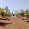 Rainger Realty, kothawade srushti, kothawade srushti murbad, Kothawade Srushti - Eco Friendly N.A. Plots & Weekend Homes Project, kothawade farm and resort, na plot in murbad, na plot in murbad thane, na plots in murbad, na plots in murbad for sale, na plot in murbad thane, na land in murbad, residential plots in murbad, plots for sale in murbad thane, na plots for sale in murbad, na plot for sale in murbad, murbad na plot rate, land price in murbad, na land in murbad, na land in murbad thane, plots for sale in kalyan murbad road, plot for sale in kothawade farms, land for sale in murbad, property for sale in murbad, villa plots in murbad, villa plots for sale in murbad, residential plots in murbad, na land in murbad, murbad plot for sale, murbad na plot, murbad land plot for sale, murbad plots for sale, villa plot in murbad maharashtra, murbad plots for sale, villa plot in murbad for sale, murbad plots for sale, villa plot in murbad with swimming pool, murbad plot rates, murbad na plot rate, farm house plot for sale in murbad, murbad farmhouse price, farmhouse in murbad for sale, weekend home plots near kothawade srushti, weekend home plots near me, weekend home plots near kalyan, Investment Plot Near Kalyan, Investment Plot Near Kalyan Maharashtra, residential plot for sale in kalyan, residential land for sale in kalyan, residential plot for sale in murbad, villa in murbad with swimmin pool, villa in murbad road, villas in murbad for sale, private villa in murbad, best villa in murbad, luxury villa in murbad, villa with private pool in murbad, villas in murbad for sale, Premium Real Estates websites, Luxury Real Estate, Premium Real Estate Company, Premium Real Estate Sellers in India, Premium Real Estate Sellers in Mumbai, RaingerRealty.com
